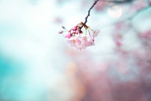 Deine Feiertags-Specials im Mai & Juni