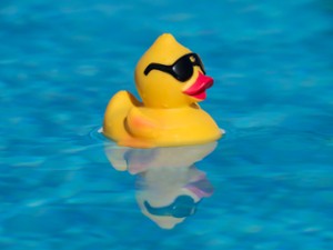 Sommerpause Kursprogramm